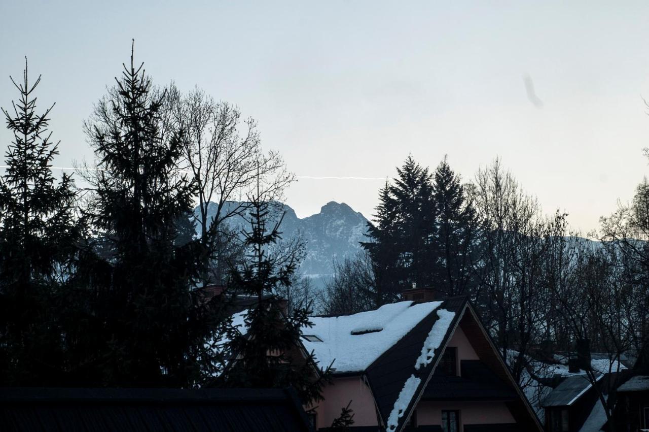 Villa Maja Zakopane Bagian luar foto